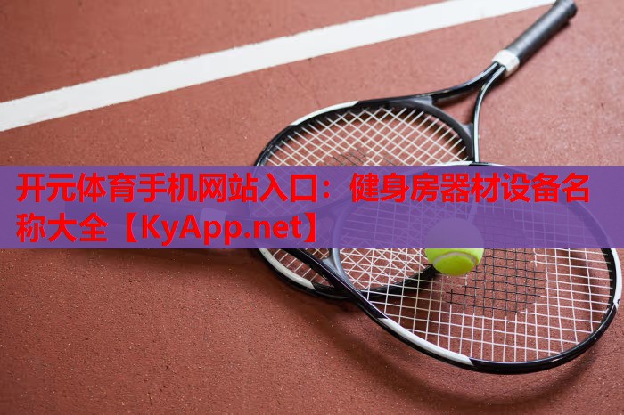 健身房器材設(shè)備名稱大全 健身房器材設(shè)備名稱大全