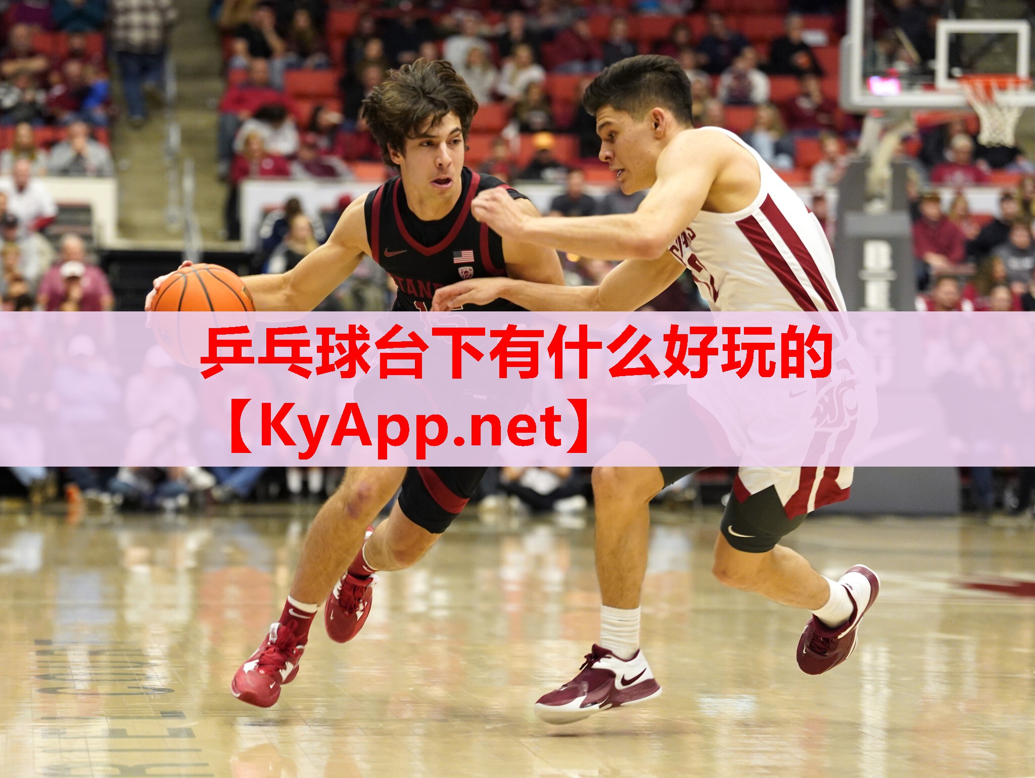 乒乓球臺(tái)下有什么好玩的 乒乓球臺(tái)下有什么好玩的