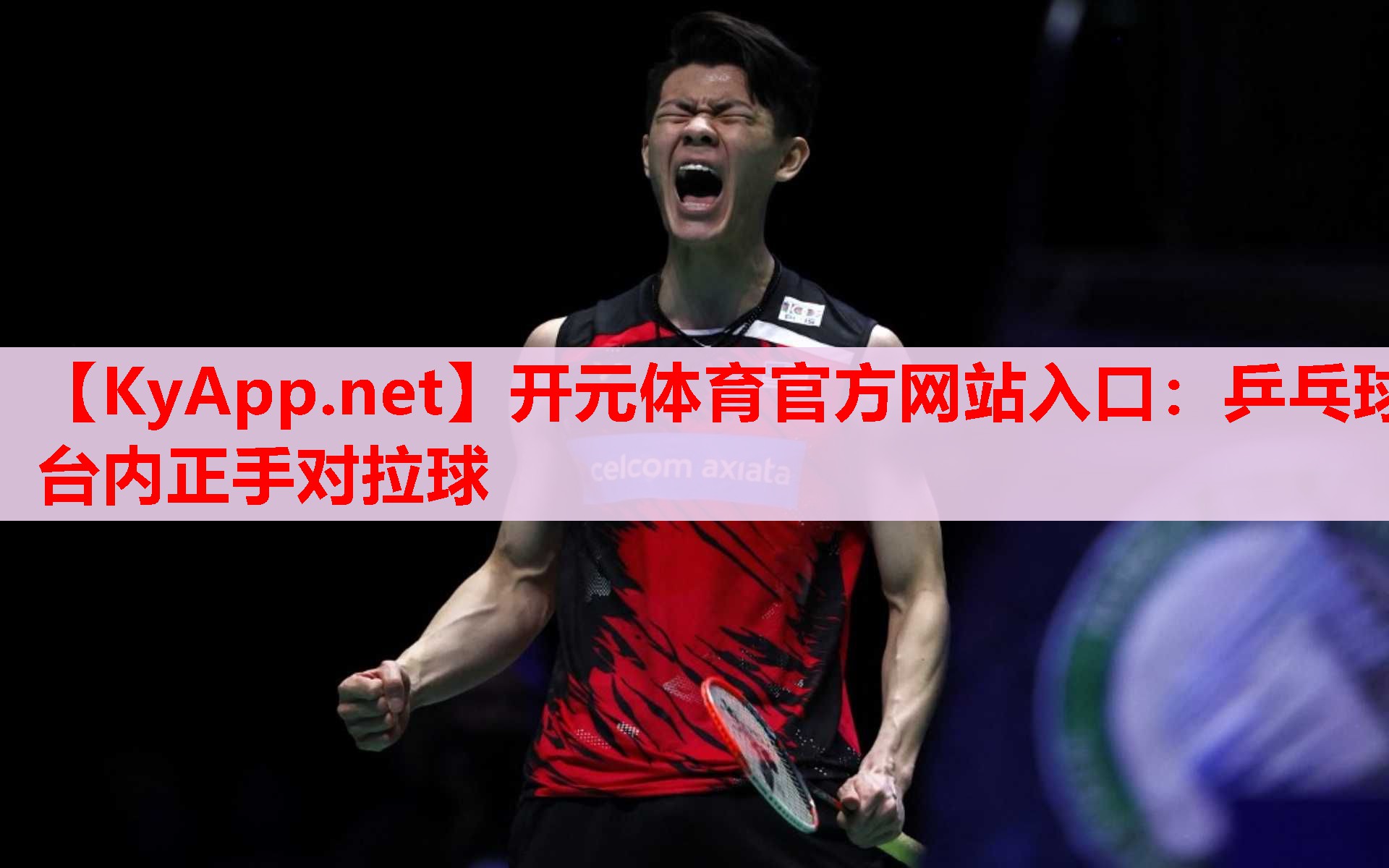 乒乓球臺(tái)內(nèi)正手對(duì)拉球 乒乓球臺(tái)內(nèi)正手對(duì)拉球