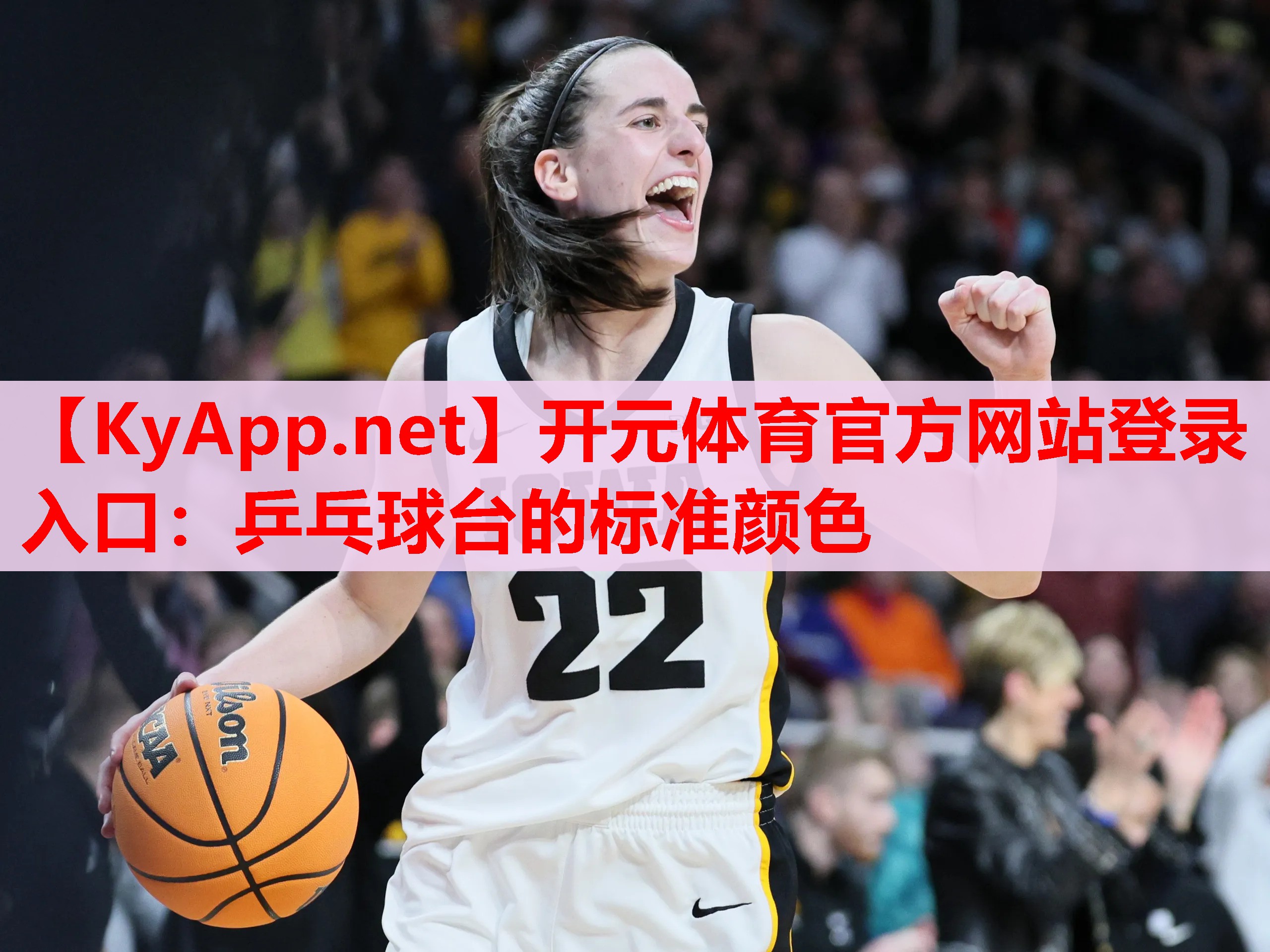 乒乓球臺的標準顏色 乒乓球臺的標準顏色