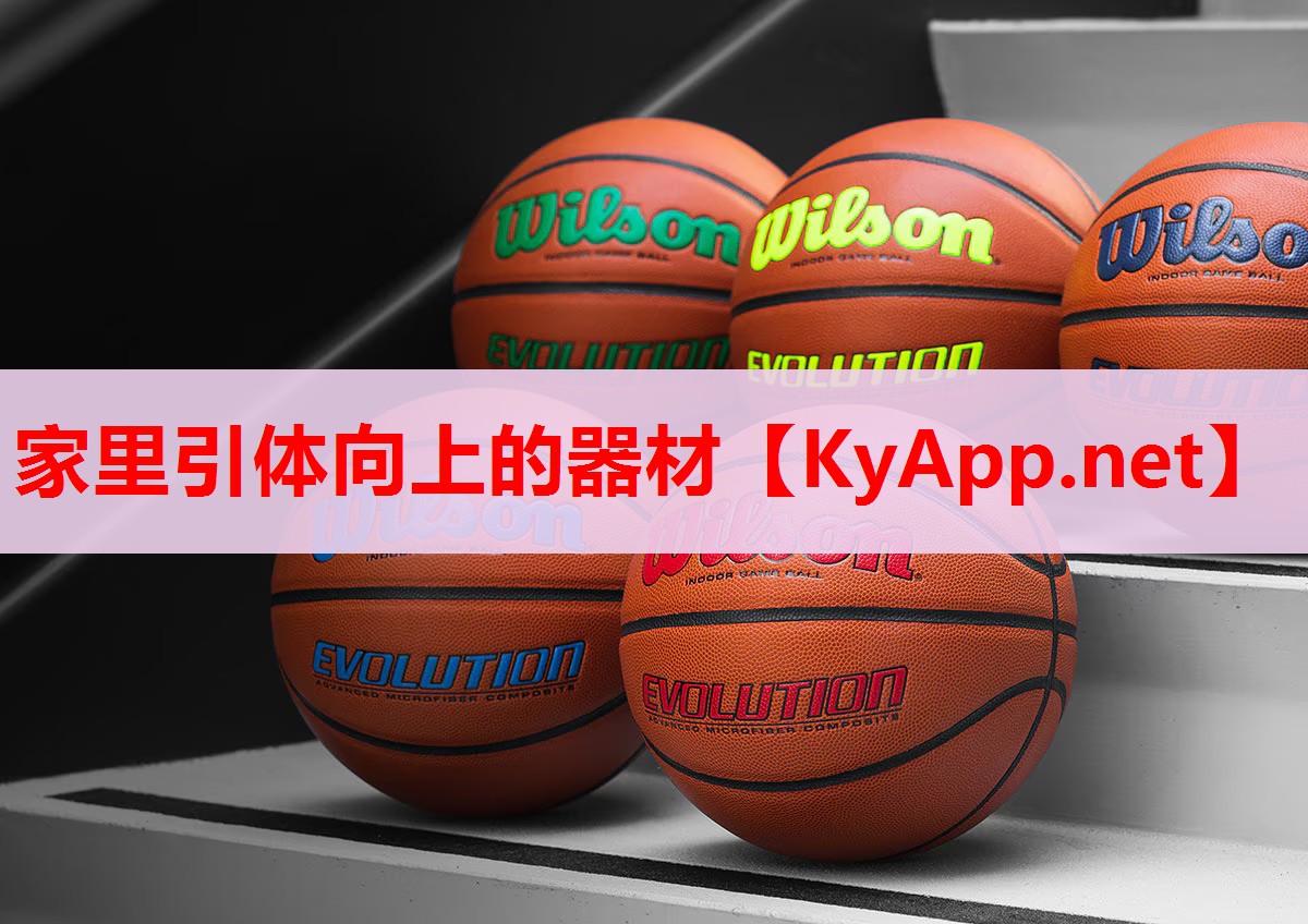家里引體向上的器材 家里引體向上的器材