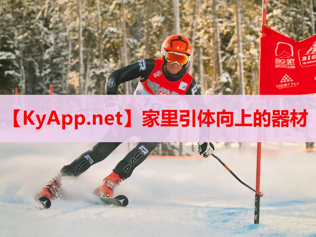 家里引體向上的器材 家里引體向上的器材
