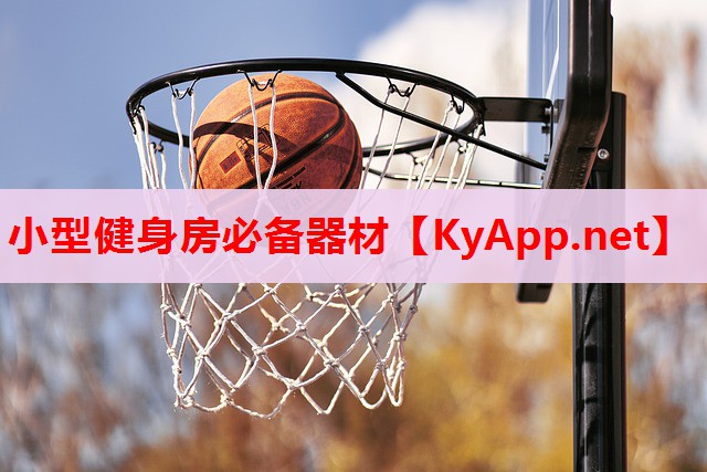 小型健身房必備器材