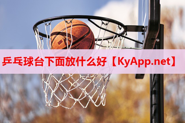乒乓球臺下面放什么好 乒乓球臺下面放什么好