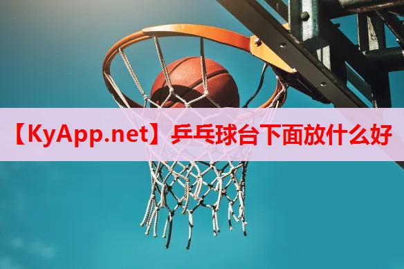 乒乓球臺下面放什么好 乒乓球臺下面放什么好