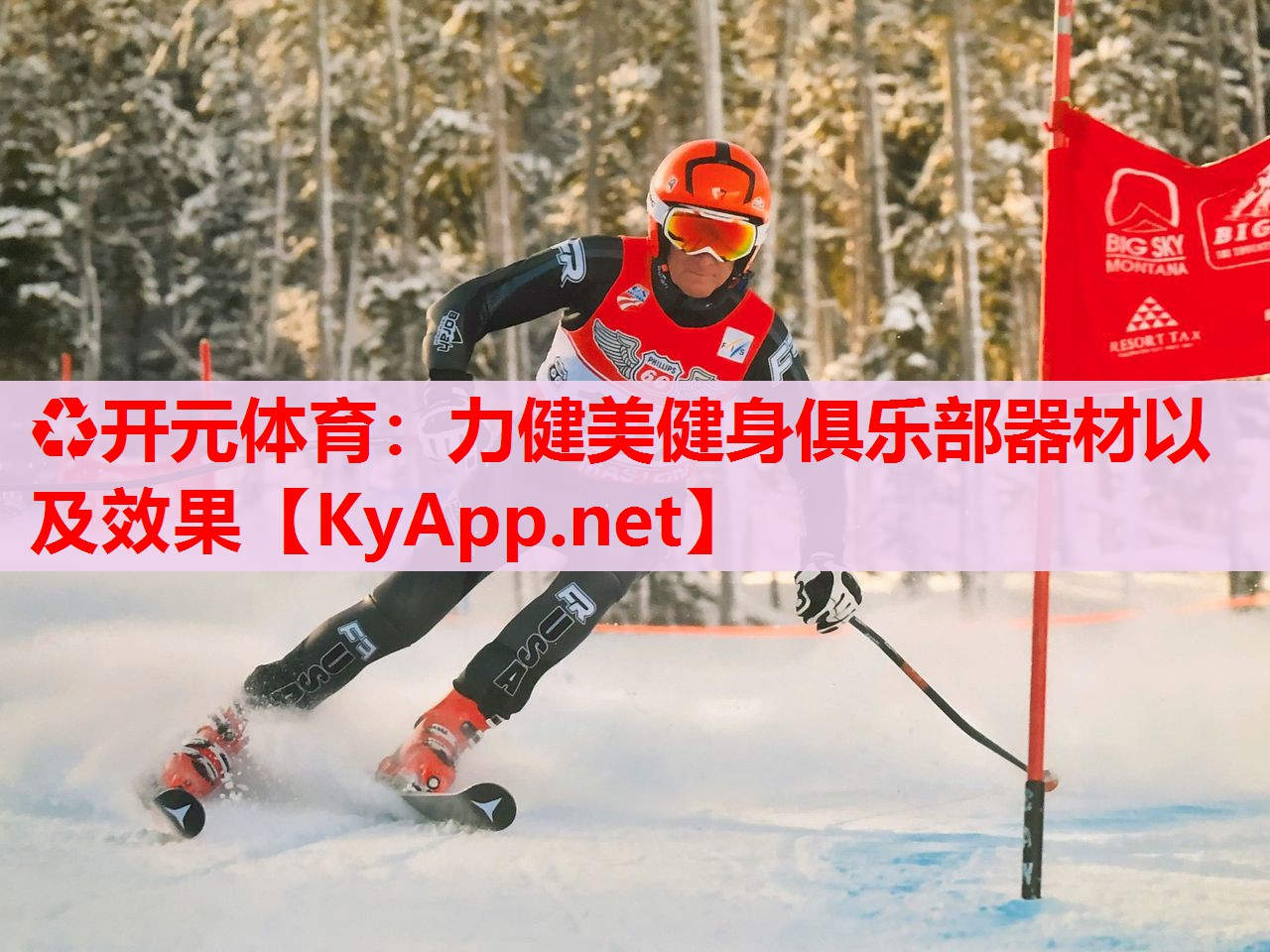 力健美健身俱樂部器材以及效果 力健美健身俱樂部器材以及效果