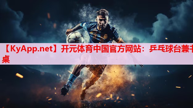 乒乓球臺(tái)兼書(shū)桌 乒乓球臺(tái)兼書(shū)桌