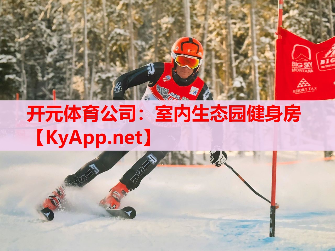 室內(nèi)生態(tài)園健身房 室內(nèi)生態(tài)園健身房