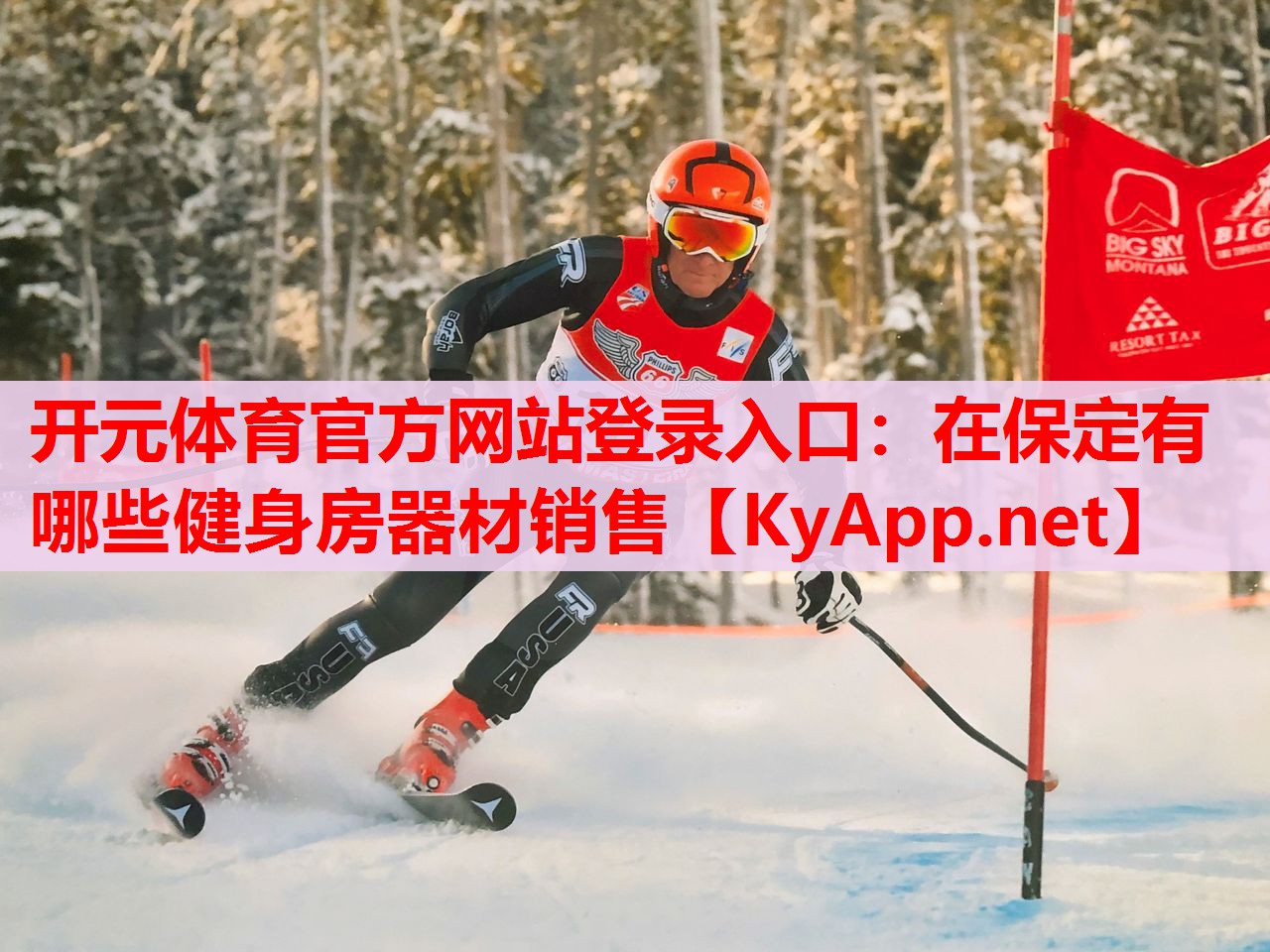 在保定有哪些健身房器材銷售 在保定有哪些健身房器材銷售