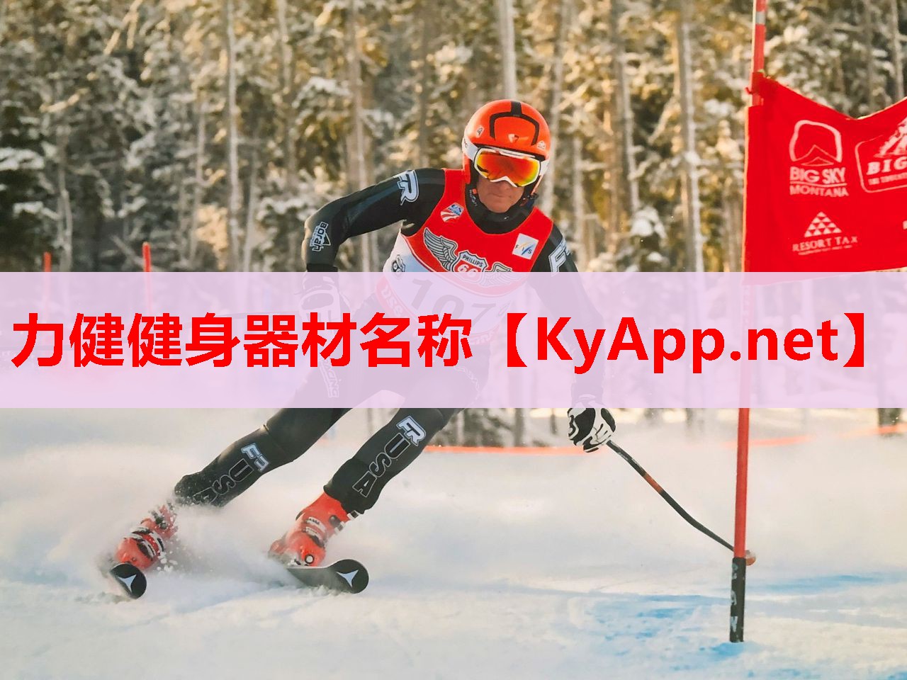 力健健身器材名稱 力健健身器材名稱