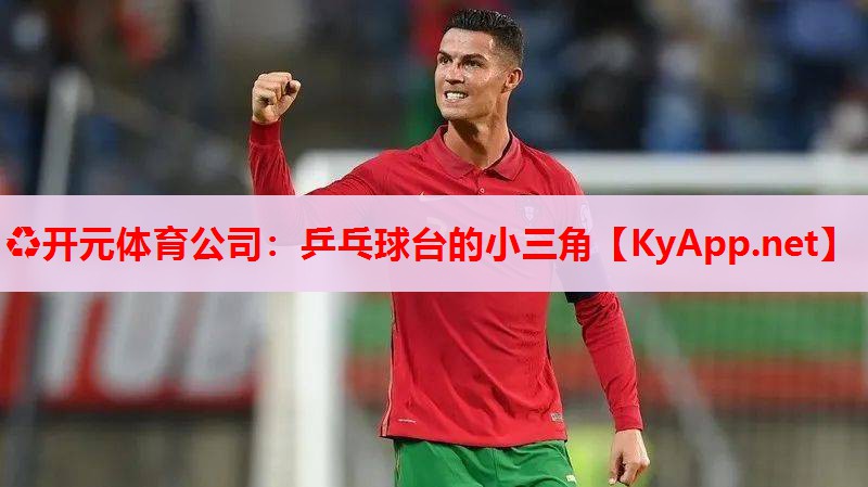 乒乓球臺的小三角 乒乓球臺的小三角
