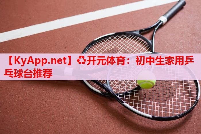 初中生家用乒乓球臺(tái)推薦 初中生家用乒乓球臺(tái)推薦