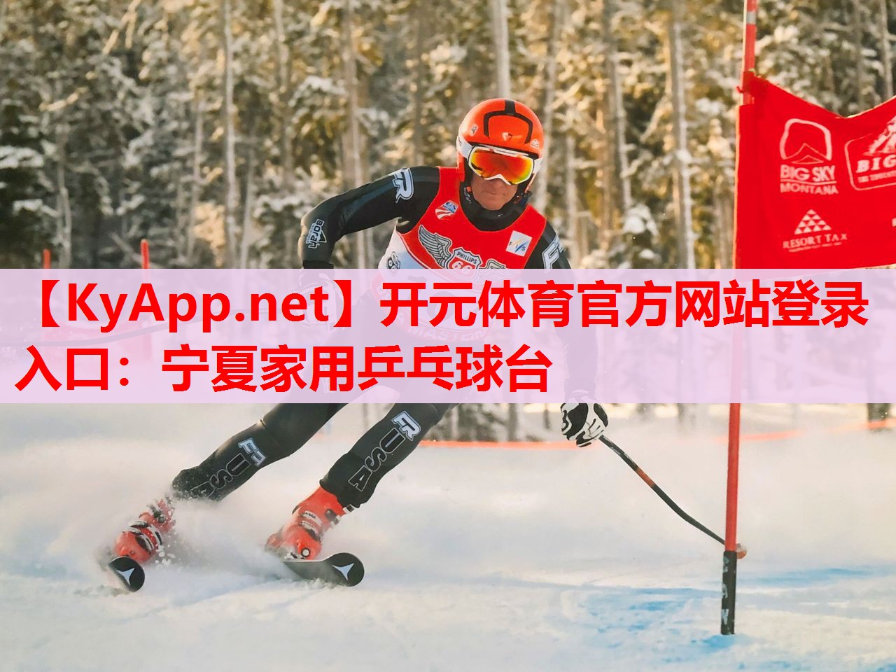 寧夏家用乒乓球臺 寧夏家用乒乓球臺