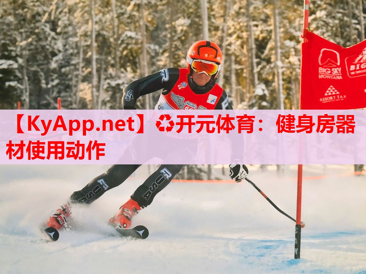 健身房器材使用動作 健身房器材使用動作
