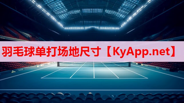 羽毛球單打場地尺寸