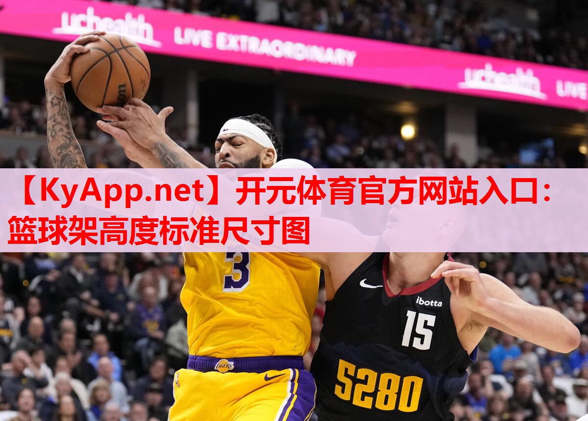籃球架高度標(biāo)準(zhǔn)尺寸圖
