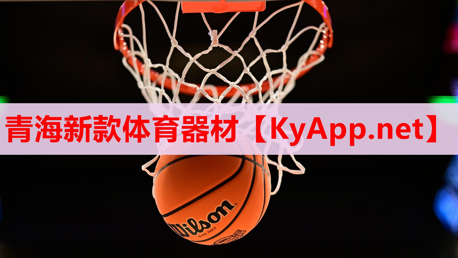 青海新款體育器材